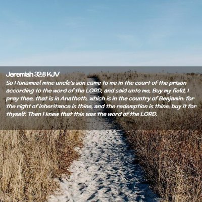 Picture 02 - Jeremiah 32:8 KJV - So Hanameel mine uncle's son came to me in the - Bible Verse Picture