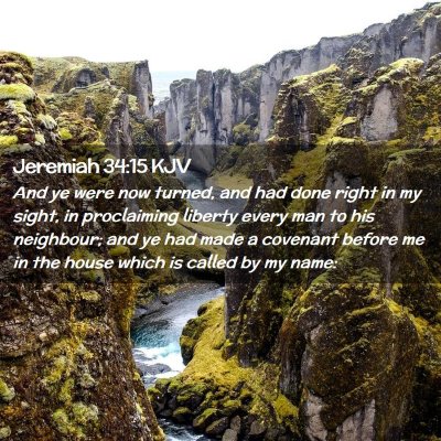 Picture 02 - Jeremiah 34:15 KJV - And ye were now turned, and had done right in my - Bible Verse Picture