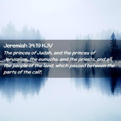 Picture 02 - Jeremiah 34:19 KJV - The princes of Judah, and the princes of - Bible Verse Picture