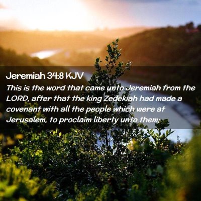 Picture 02 - Jeremiah 34:8 KJV - This is the word that came unto Jeremiah from the - Bible Verse Picture