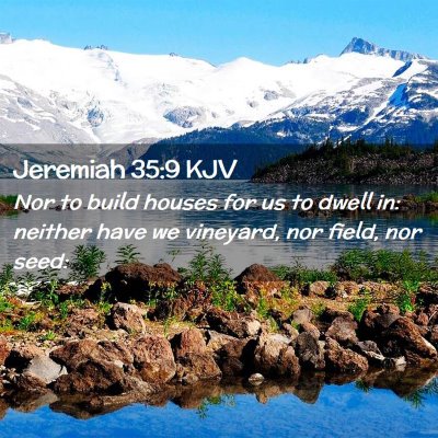 Picture 02 - Jeremiah 35:9 KJV - Nor to build houses for us to dwell in: neither - Bible Verse Picture