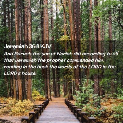 Picture 02 - Jeremiah 36:8 KJV - And Baruch the son of Neriah did according to all - Bible Verse Picture