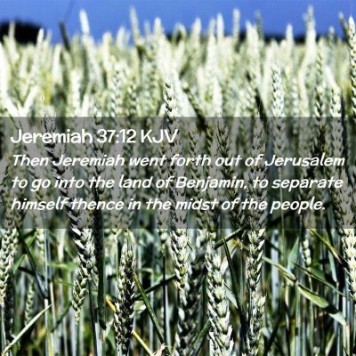 Picture 02 - Jeremiah 37:12 KJV - Then Jeremiah went forth out of Jerusalem to go - Bible Verse Picture