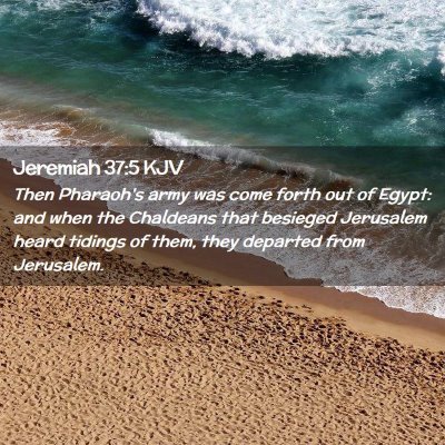 Picture 02 - Jeremiah 37:5 KJV - Then Pharaoh's army was come forth out of Egypt: - Bible Verse Picture
