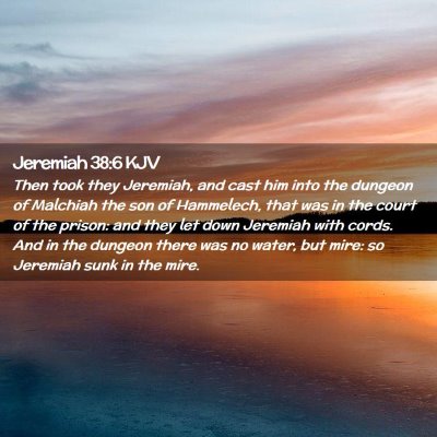 Picture 02 - Jeremiah 38:6 KJV - Then took they Jeremiah, and cast him into the - Bible Verse Picture