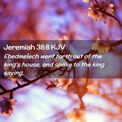 Picture 02 - Jeremiah 38:8 KJV - Ebedmelech went forth out of the king's house, - Bible Verse Picture