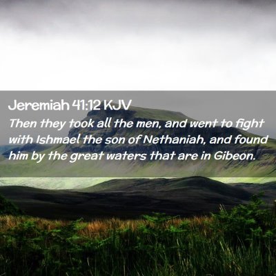Picture 02 - Jeremiah 41:12 KJV - Then they took all the men, and went to fight - Bible Verse Picture