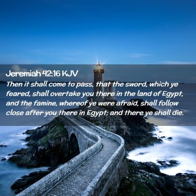 Picture 02 - Jeremiah 42:16 KJV - Then it shall come to pass, that the sword, which - Bible Verse Picture