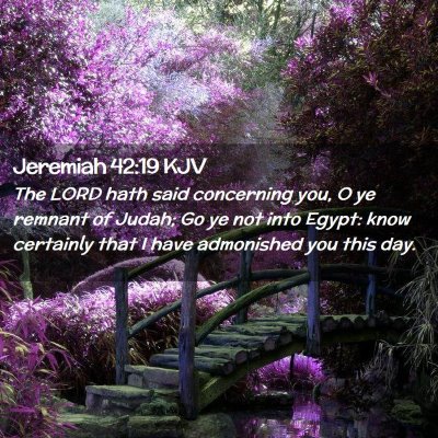 Picture 02 - Jeremiah 42:19 KJV - The LORD hath said concerning you, O ye remnant - Bible Verse Picture