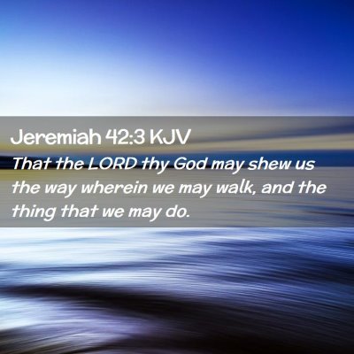 Picture 02 - Jeremiah 42:3 KJV - That the LORD thy God may shew us the way wherein - Bible Verse Picture