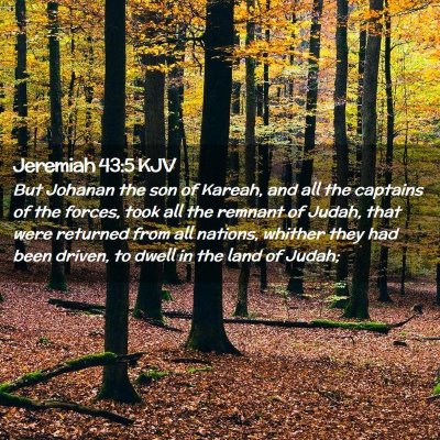 Picture 02 - Jeremiah 43:5 KJV - But Johanan the son of Kareah, and all the - Bible Verse Picture