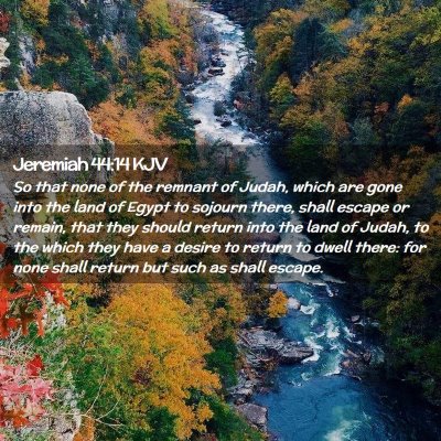 Picture 02 - Jeremiah 44:14 KJV - So that none of the remnant of Judah, which are - Bible Verse Picture