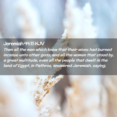 Picture 02 - Jeremiah 44:15 KJV - Then all the men which knew that their wives had - Bible Verse Picture