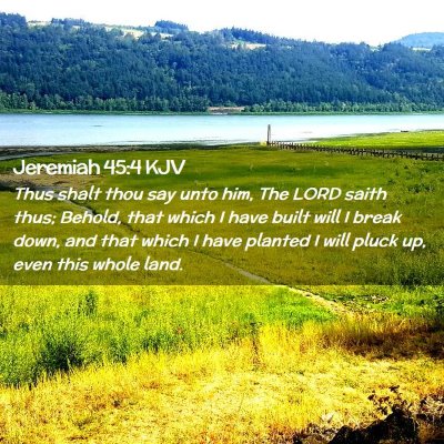Picture 02 - Jeremiah 45:4 KJV - Thus shalt thou say unto him, The LORD saith - Bible Verse Picture
