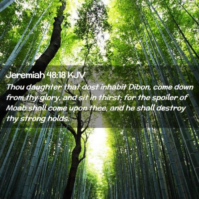 Picture 02 - Jeremiah 48:18 KJV - Thou daughter that dost inhabit Dibon, come down - Bible Verse Picture