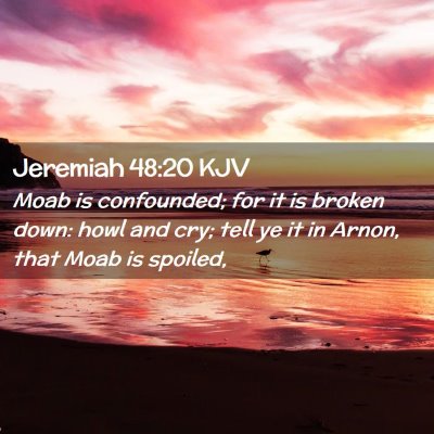 Picture 02 - Jeremiah 48:20 KJV - Moab is confounded; for it is broken down: howl - Bible Verse Picture