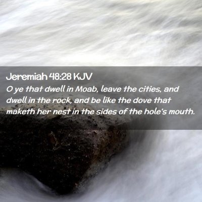 Picture 02 - Jeremiah 48:28 KJV - O ye that dwell in Moab, leave the cities, and - Bible Verse Picture