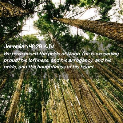 Picture 02 - Jeremiah 48:29 KJV - We have heard the pride of Moab, (he is exceeding - Bible Verse Picture