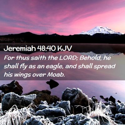 Picture 02 - Jeremiah 48:40 KJV - For thus saith the LORD; Behold, he shall fly as - Bible Verse Picture