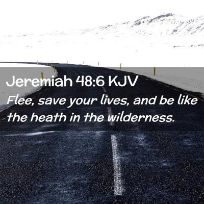 Picture 02 - Jeremiah 48:6 KJV - Flee, save your lives, and be like the heath in - Bible Verse Picture