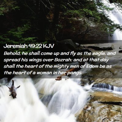 Picture 02 - Jeremiah 49:22 KJV - Behold, he shall come up and fly as the eagle, - Bible Verse Picture