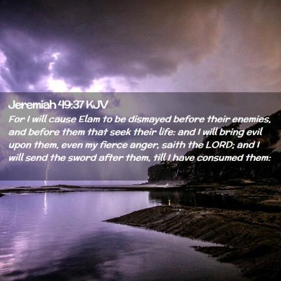 Picture 02 - Jeremiah 49:37 KJV - For I will cause Elam to be dismayed before their - Bible Verse Picture
