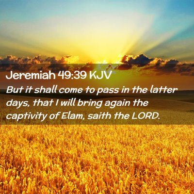 Picture 02 - Jeremiah 49:39 KJV - But it shall come to pass in the latter days, - Bible Verse Picture