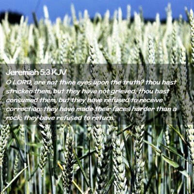 Picture 02 - Jeremiah 5:3 KJV - O LORD, are not thine eyes upon the truth? thou - Bible Verse Picture