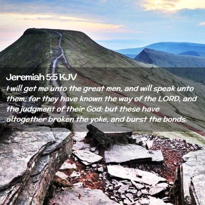 Picture 02 - Jeremiah 5:5 KJV - I will get me unto the great men, and will speak - Bible Verse Picture