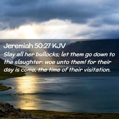 Picture 02 - Jeremiah 50:27 KJV - Slay all her bullocks; let them go down to the - Bible Verse Picture