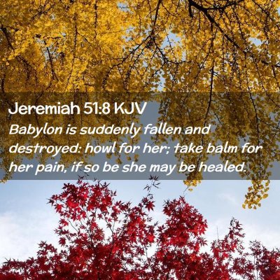 Picture 02 - Jeremiah 51:8 KJV - Babylon is suddenly fallen and destroyed: howl - Bible Verse Picture