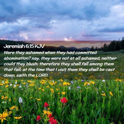 Picture 02 - Jeremiah 6:15 KJV - Were they ashamed when they had committed - Bible Verse Picture
