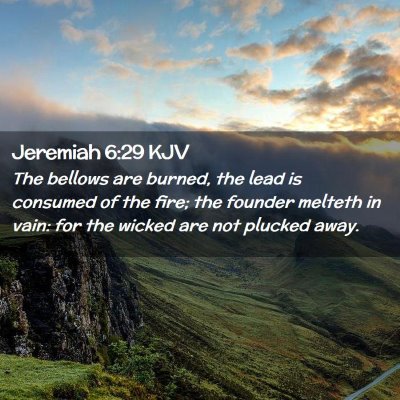 Picture 02 - Jeremiah 6:29 KJV - The bellows are burned, the lead is consumed of - Bible Verse Picture