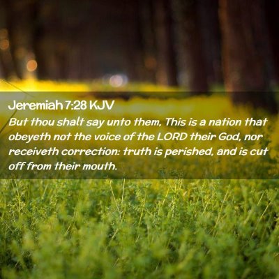 Picture 02 - Jeremiah 7:28 KJV - But thou shalt say unto them, This is a nation - Bible Verse Picture