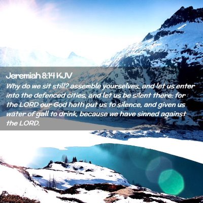 Picture 02 - Jeremiah 8:14 KJV - Why do we sit still? assemble yourselves, and let - Bible Verse Picture