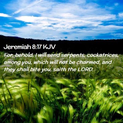Picture 02 - Jeremiah 8:17 KJV - For, behold, I will send serpents, cockatrices, - Bible Verse Picture