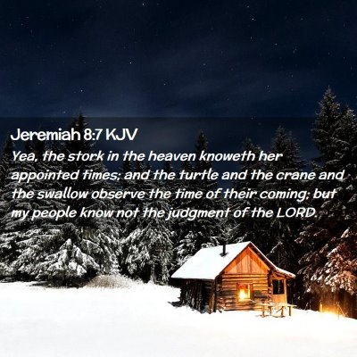 Picture 02 - Jeremiah 8:7 KJV - Yea, the stork in the heaven knoweth her - Bible Verse Picture