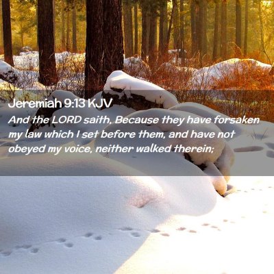 Picture 02 - Jeremiah 9:13 KJV - And the LORD saith, Because they have forsaken my - Bible Verse Picture