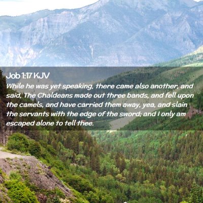 Picture 02 - Job 1:17 KJV - While he was yet speaking, there came also - Bible Verse Picture