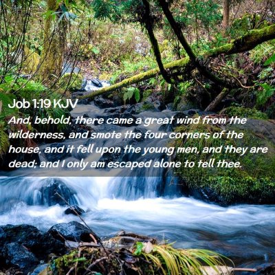 Picture 02 - Job 1:19 KJV - And, behold, there came a great wind from the - Bible Verse Picture