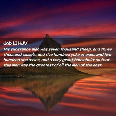 Picture 02 - Job 1:3 KJV - His substance also was seven thousand sheep, and - Bible Verse Picture