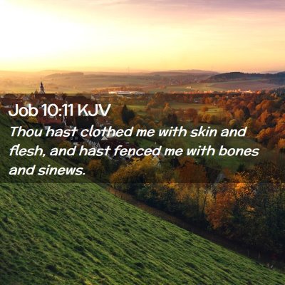 Picture 02 - Job 10:11 KJV - Thou hast clothed me with skin and flesh, and - Bible Verse Picture