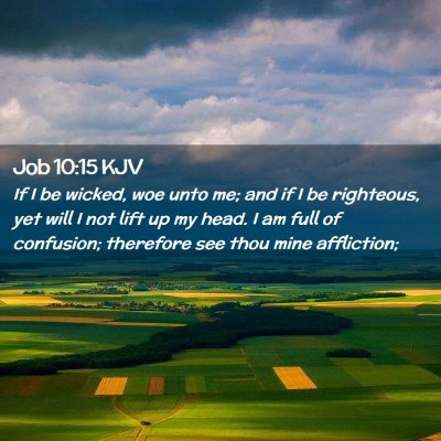 Picture 02 - Job 10:15 KJV - If I be wicked, woe unto me; and if I be - Bible Verse Picture