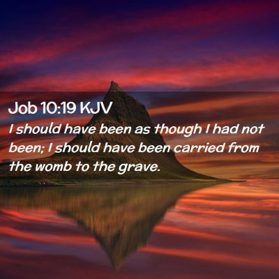 Picture 02 - Job 10:19 KJV - I should have been as though I had not been; I - Bible Verse Picture