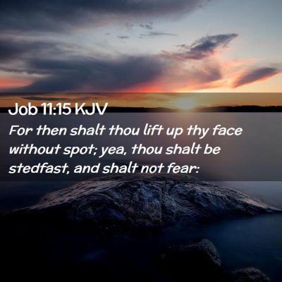 Picture 02 - Job 11:15 KJV - For then shalt thou lift up thy face without - Bible Verse Picture