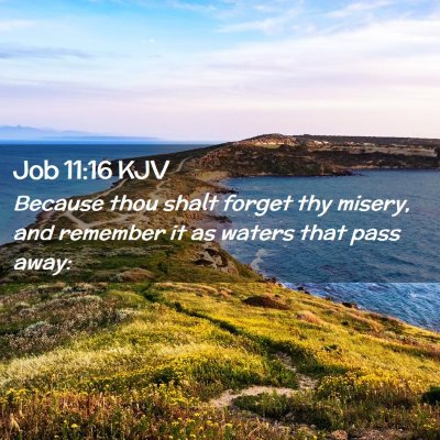 Picture 02 - Job 11:16 KJV - Because thou shalt forget thy misery, and - Bible Verse Picture