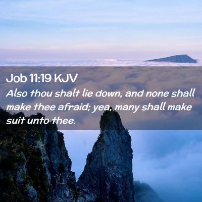 Picture 02 - Job 11:19 KJV - Also thou shalt lie down, and none shall make - Bible Verse Picture