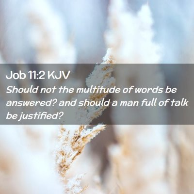 Picture 02 - Job 11:2 KJV - Should not the multitude of words be answered? - Bible Verse Picture