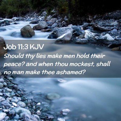 Picture 02 - Job 11:3 KJV - Should thy lies make men hold their peace? and - Bible Verse Picture