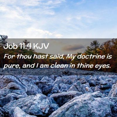 Picture 02 - Job 11:4 KJV - For thou hast said, My doctrine is pure, and I am - Bible Verse Picture